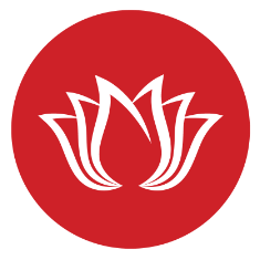 البخاري على أصوله