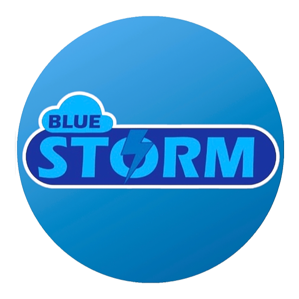 bluestorm.sa
