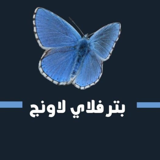 Butterfly lounge