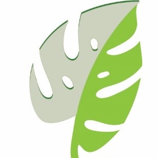 The plant sa